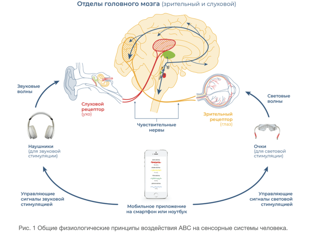 Аппарат&nbsp;Лингвостим-UB